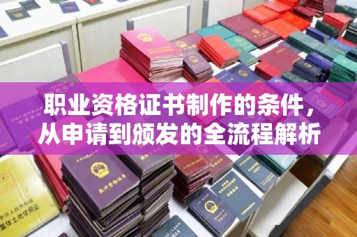大关职业资格证书制作的条件，从申请到颁发的全流程解析